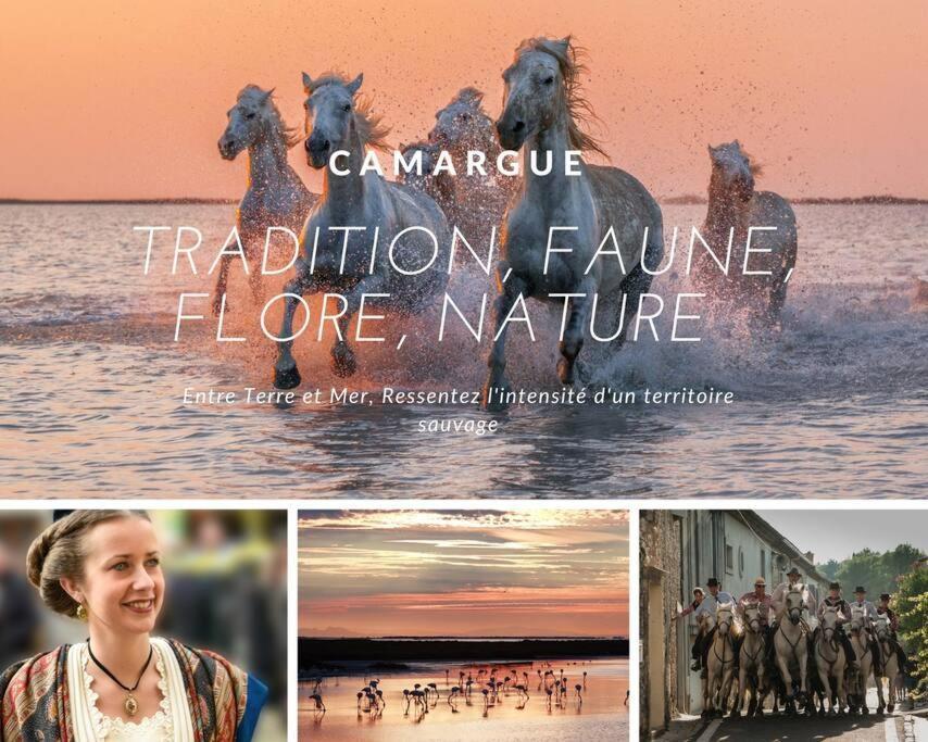 L'Etang De L'Or *Joli T2 * Plage A 10 Min * Proche Montpellier Carnon-Plage Zewnętrze zdjęcie